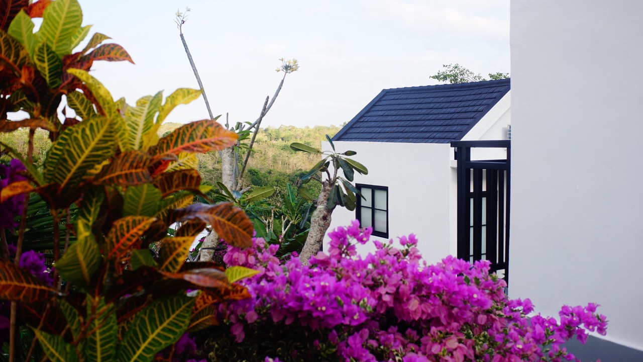 Photo of Outdoor in Botoemadeg