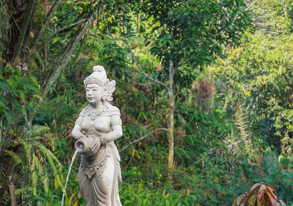 Photo of Outdoor in Taro
