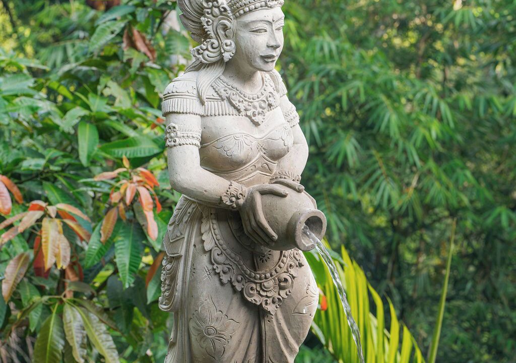 Photo of Outdoor in Taro