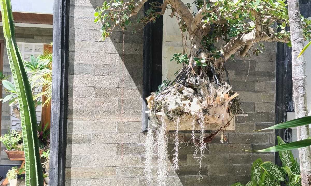 Photo of Outdoor in BTDC