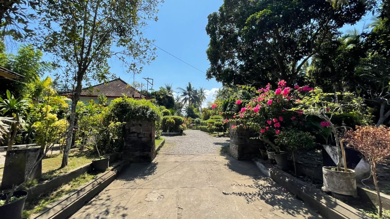 Photo of Outdoor in Negara