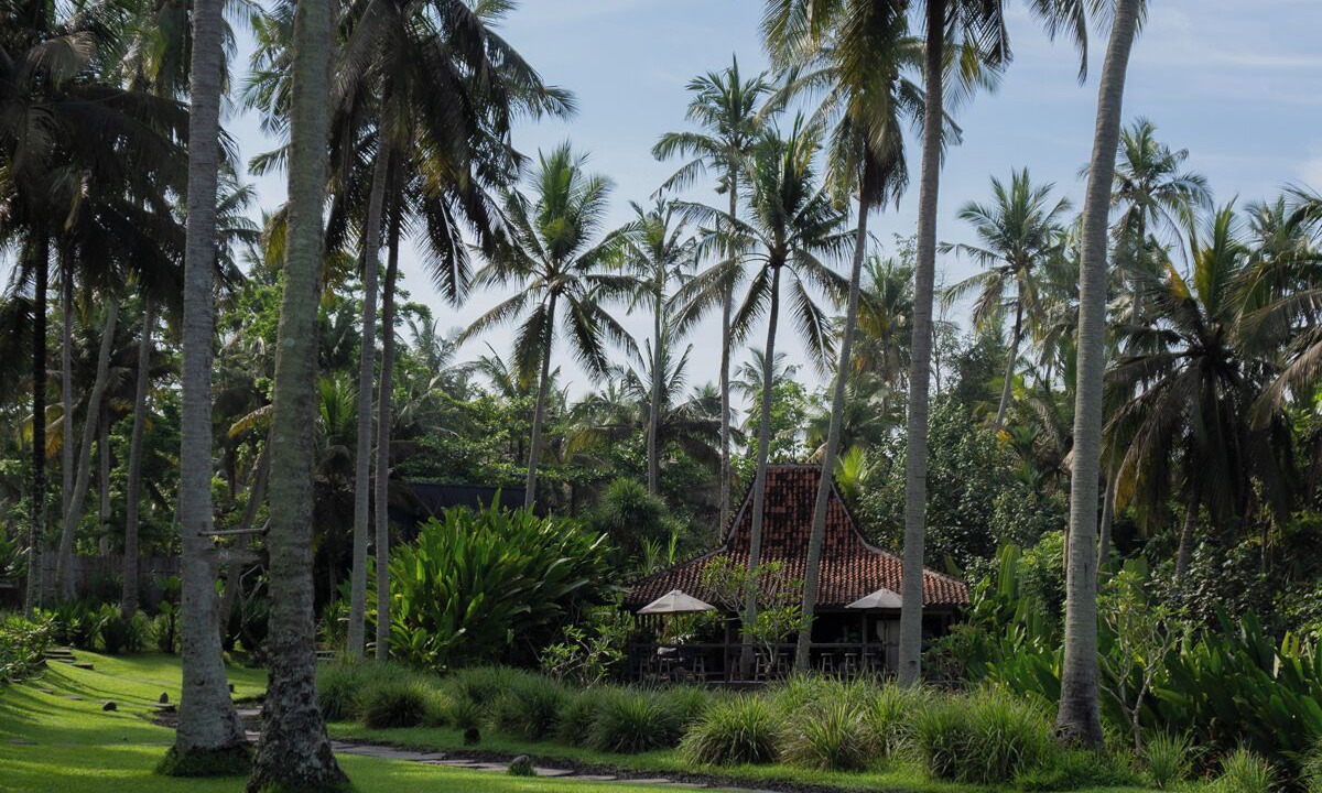 Photo of Outdoor in Suraberata