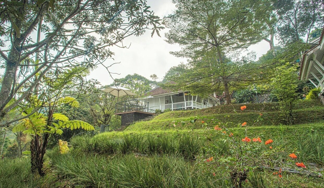 Photo of Outdoor in Megamendung