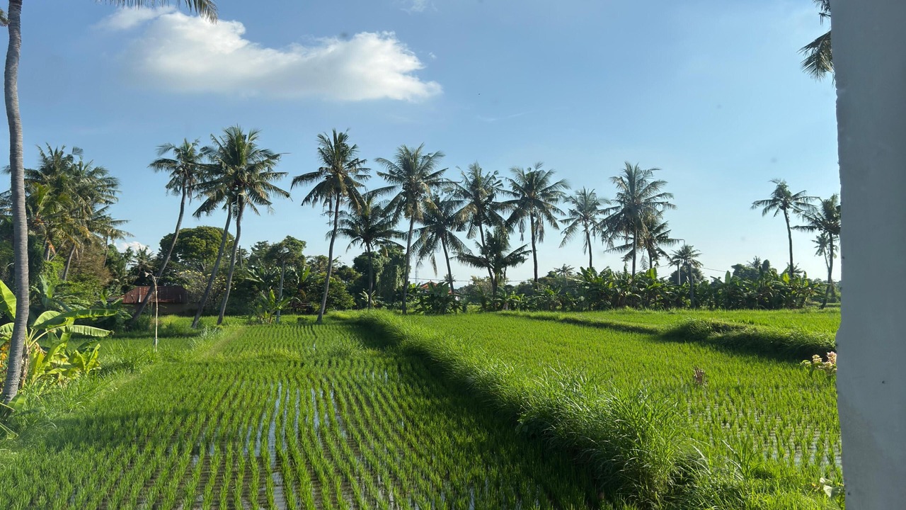 Photo of Others in Buleleng