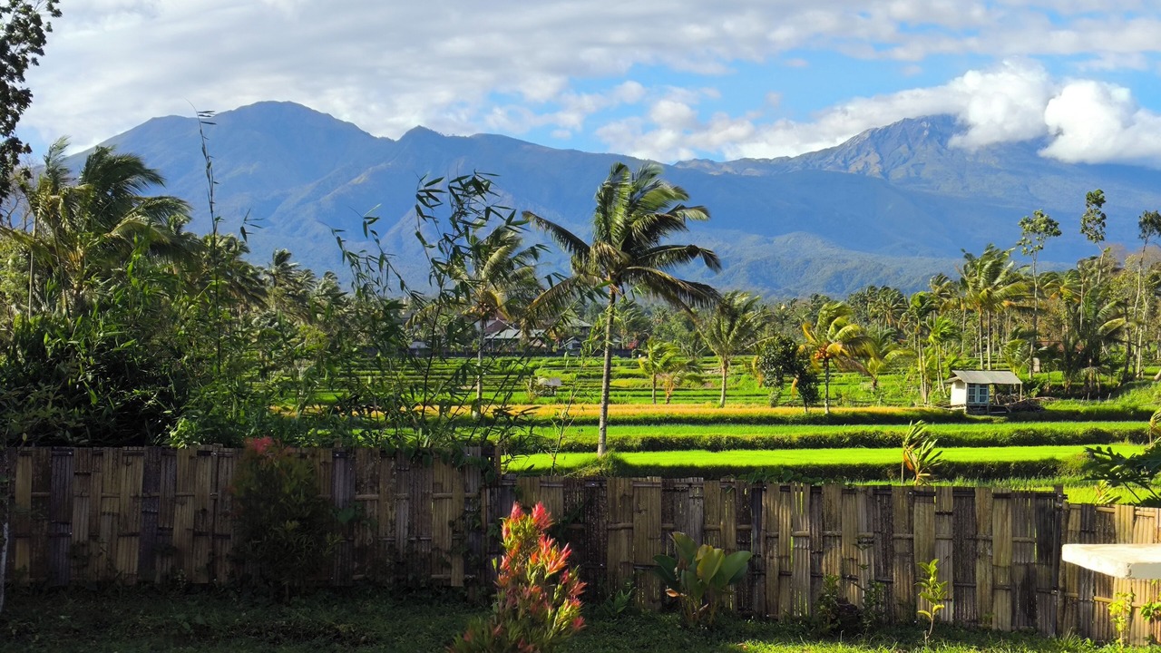 Photo of Outdoor in Tetebatu