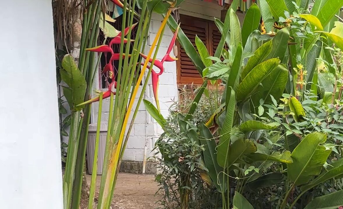 Photo of Outdoor in Tetebatu