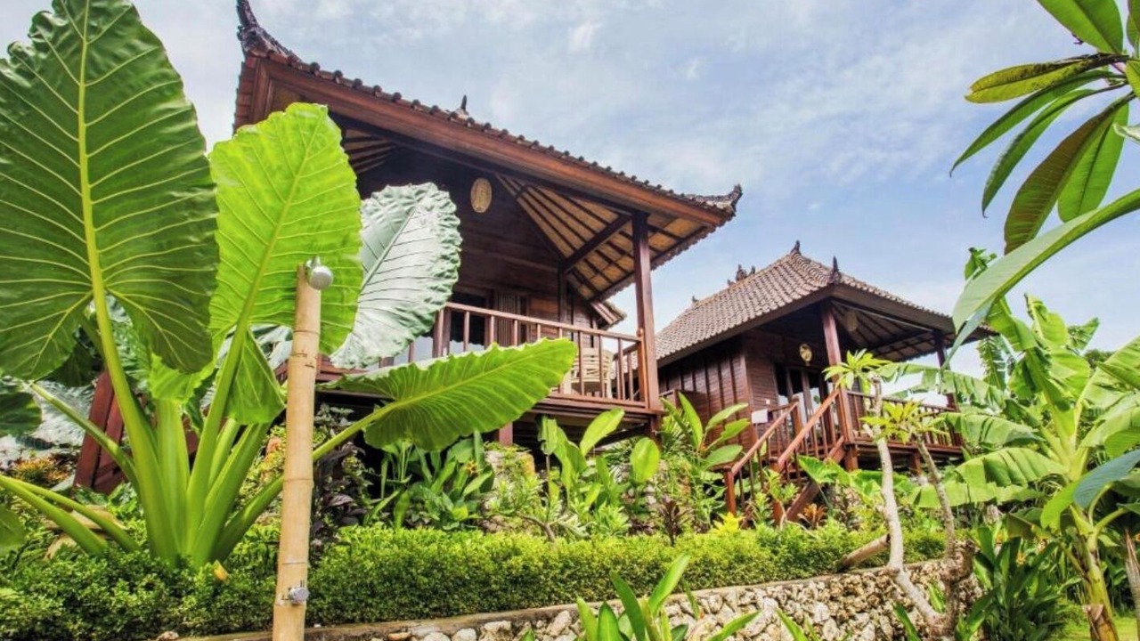 Photo of Outdoor in Mushroom Bay