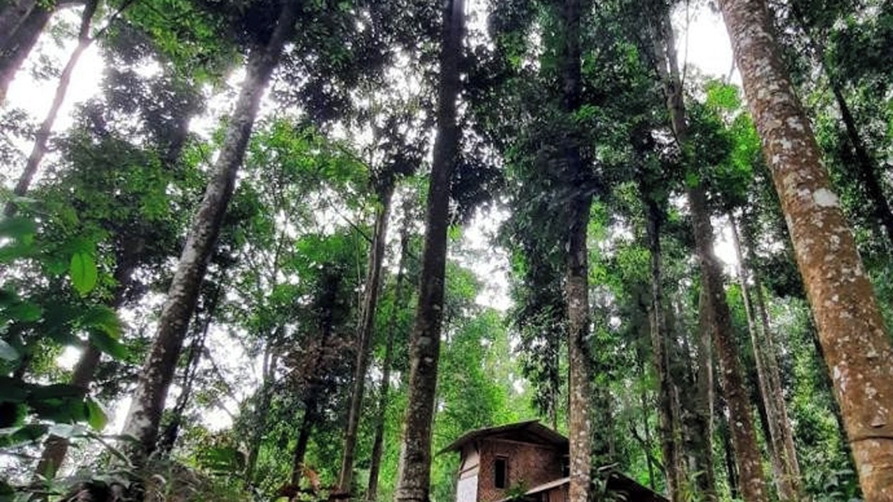 Photo of Outdoor in Pasirjambu