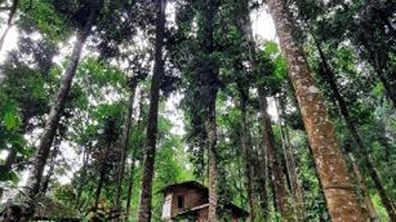 Photo of Outdoor in Pasirjambu