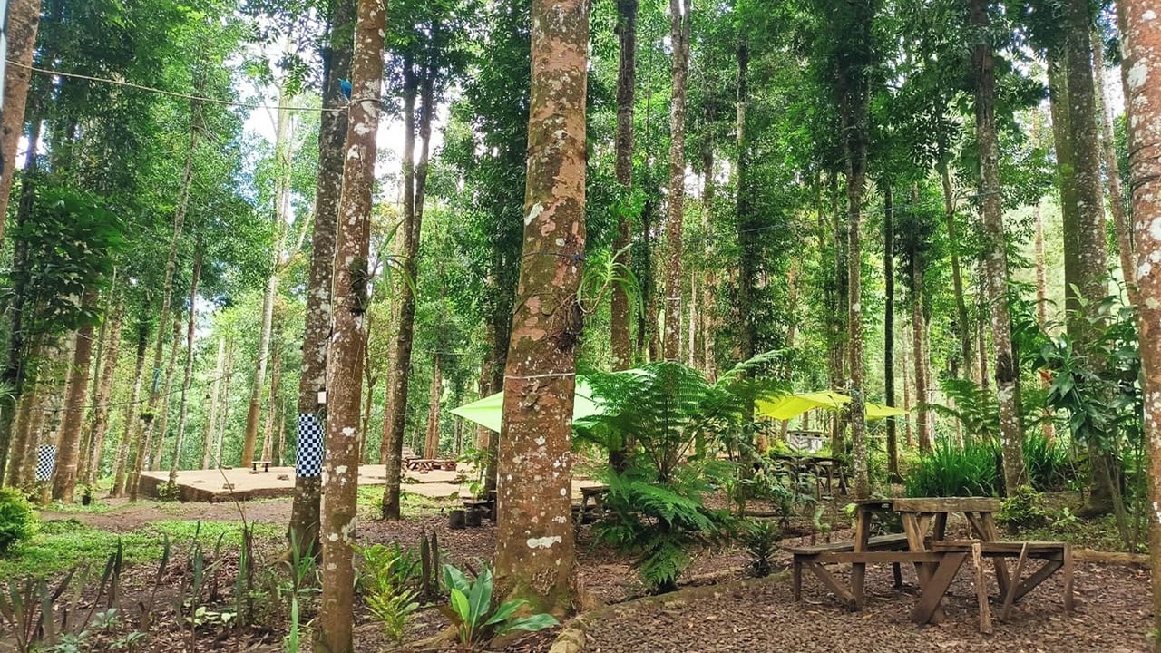 Photo of Outdoor in Pasirjambu