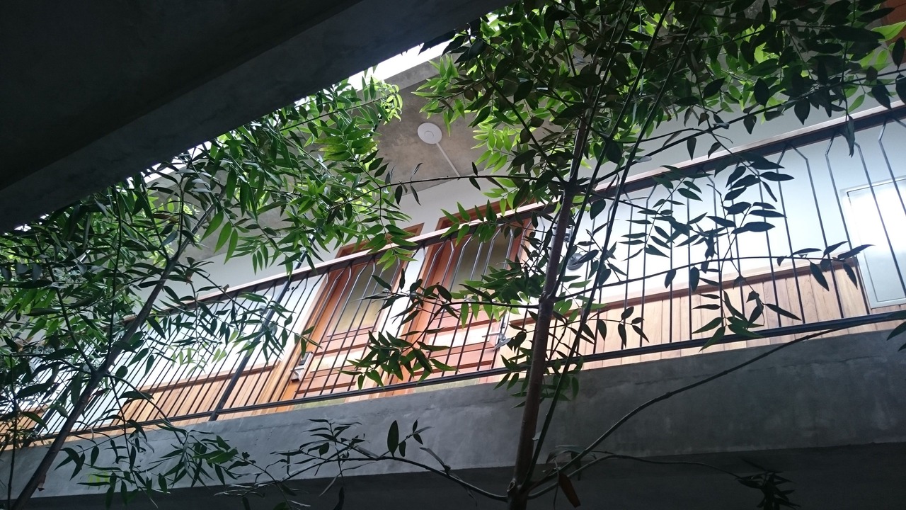 Photo of Others in Ciumbuleuit