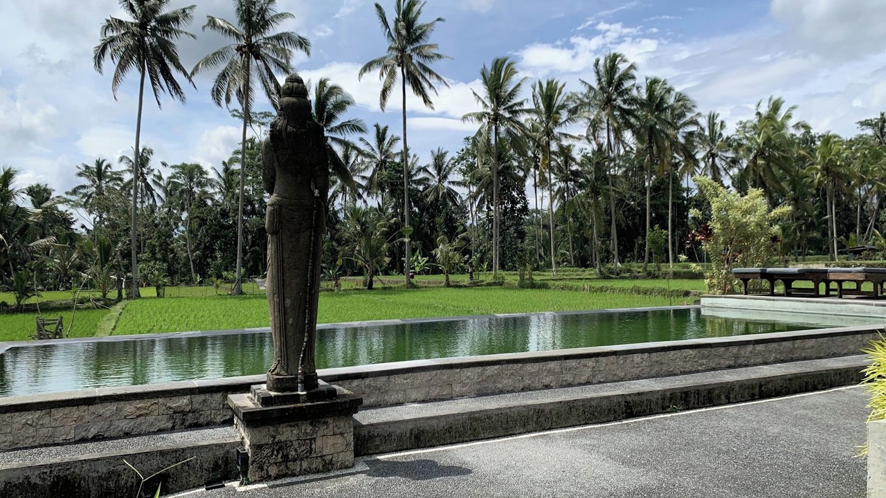 Photo of Outdoor in Sebatu