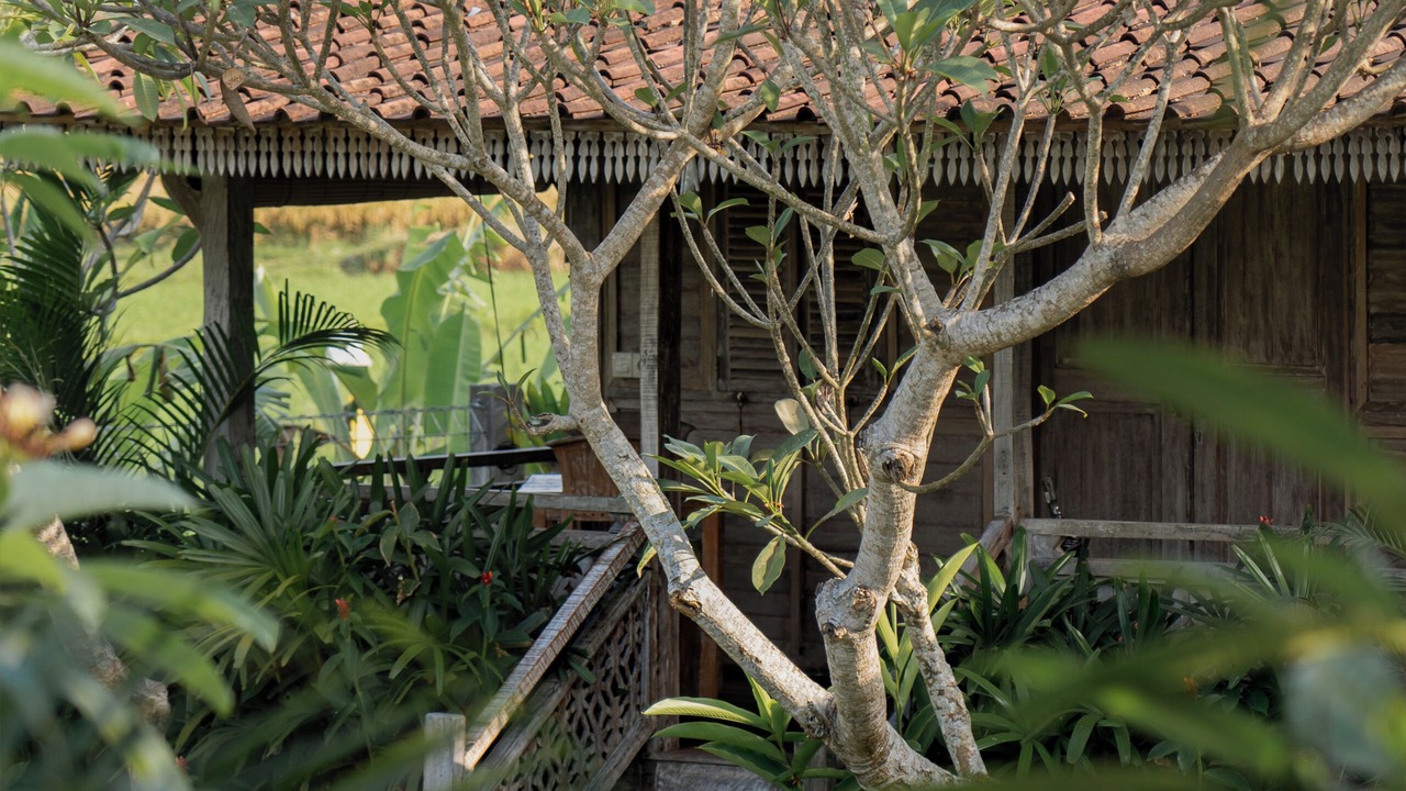 Photo of Bedroom in Lodtunduh