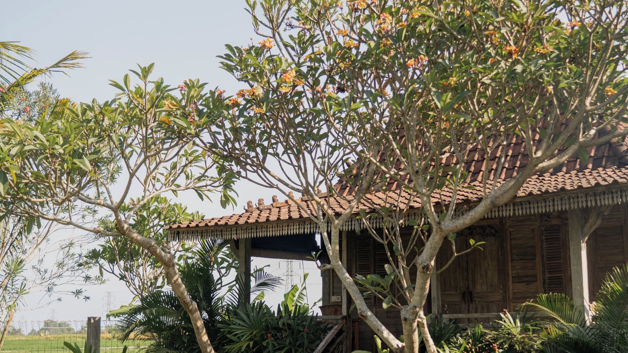 Photo of Bedroom in Lodtunduh