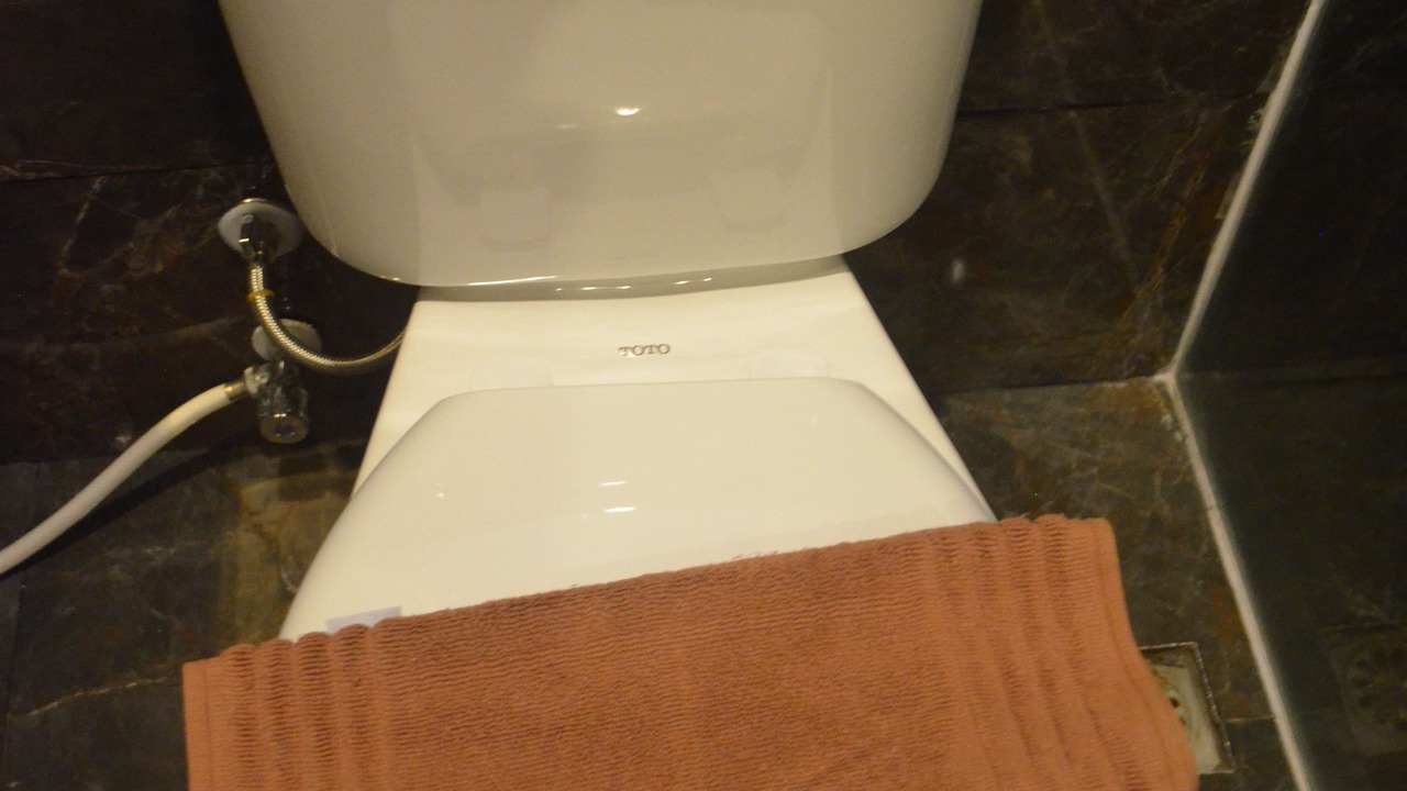 Photo of Bathroom in Chinatown