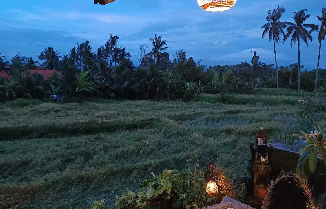 Photo of Outdoor in Mas