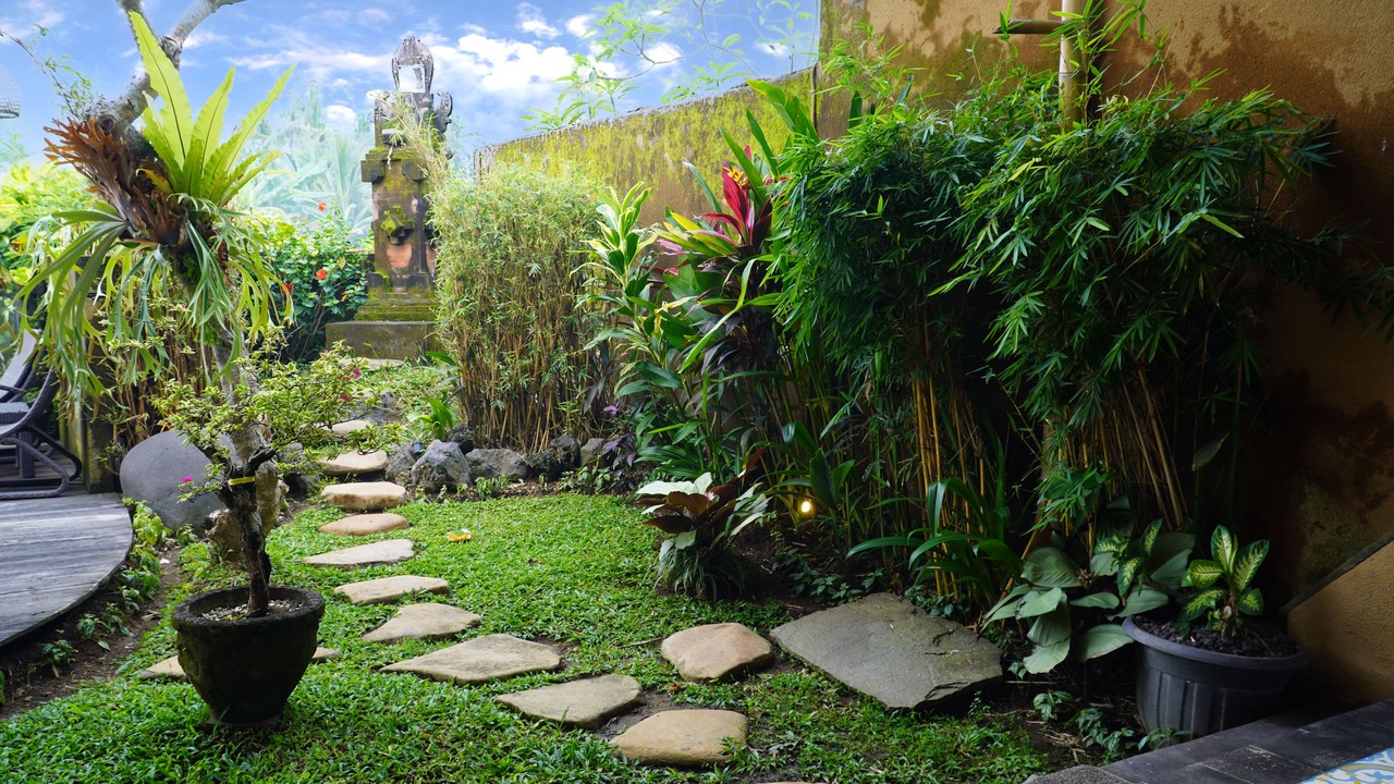 Photo of Outdoor in Mas