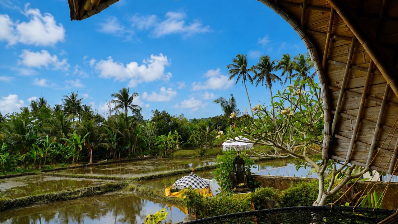 Photo of Outdoor in Mas