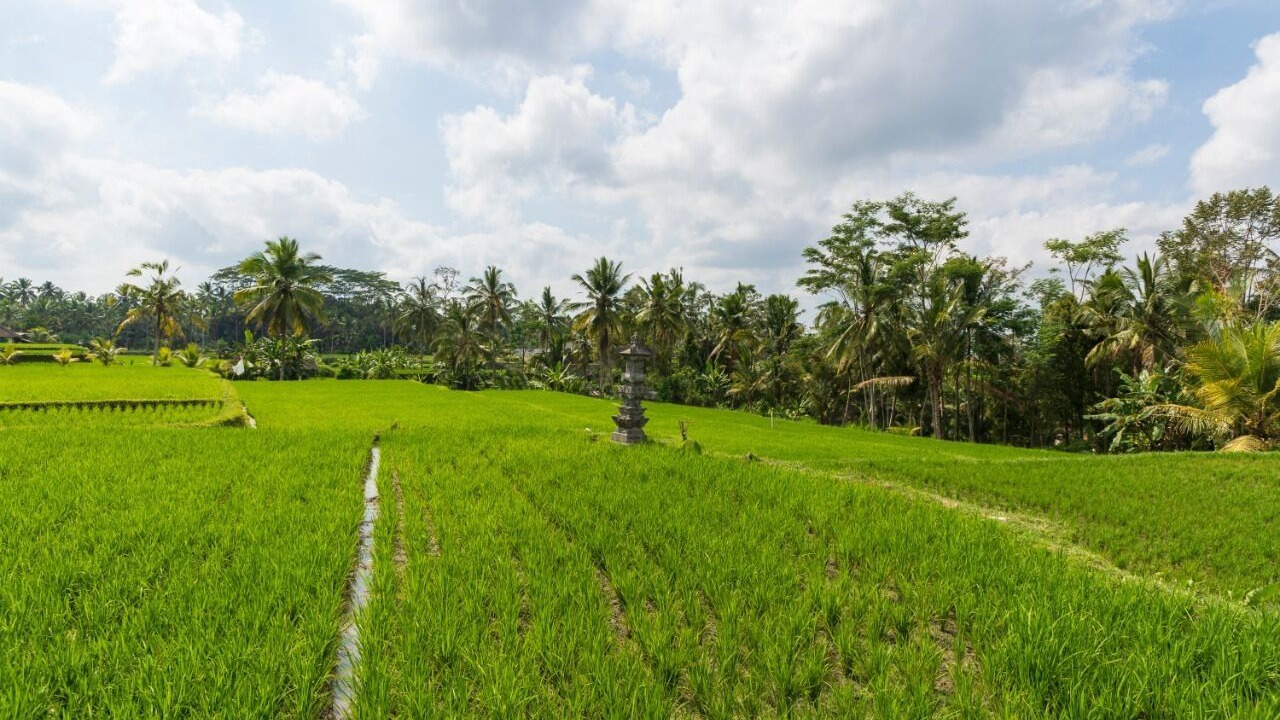 Photo of Outdoor in Kenderan