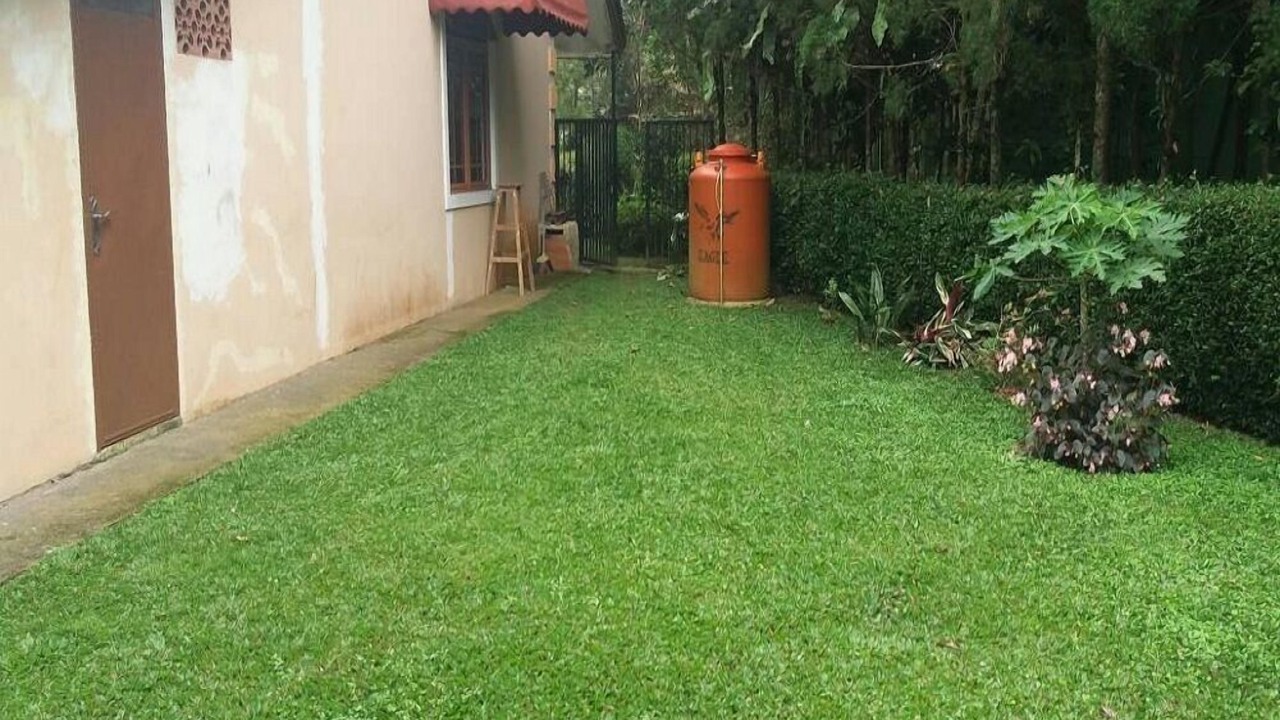 Photo of Outdoor in Cipanas