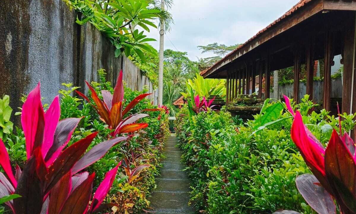 Photo of Outdoor in Melayang