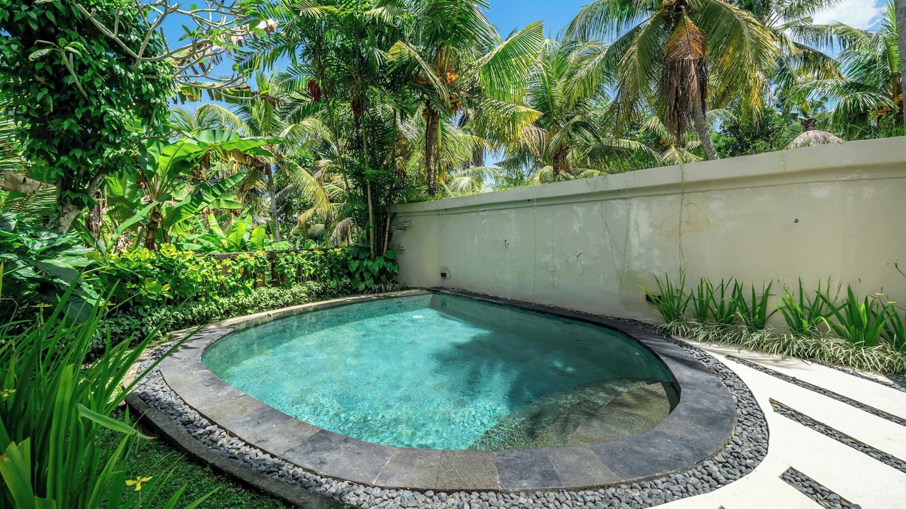 Photo of Outdoor in Ubud