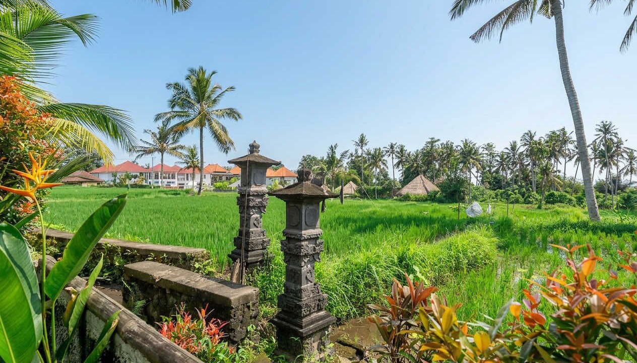 Photo of Outdoor in Pejeng Kawan