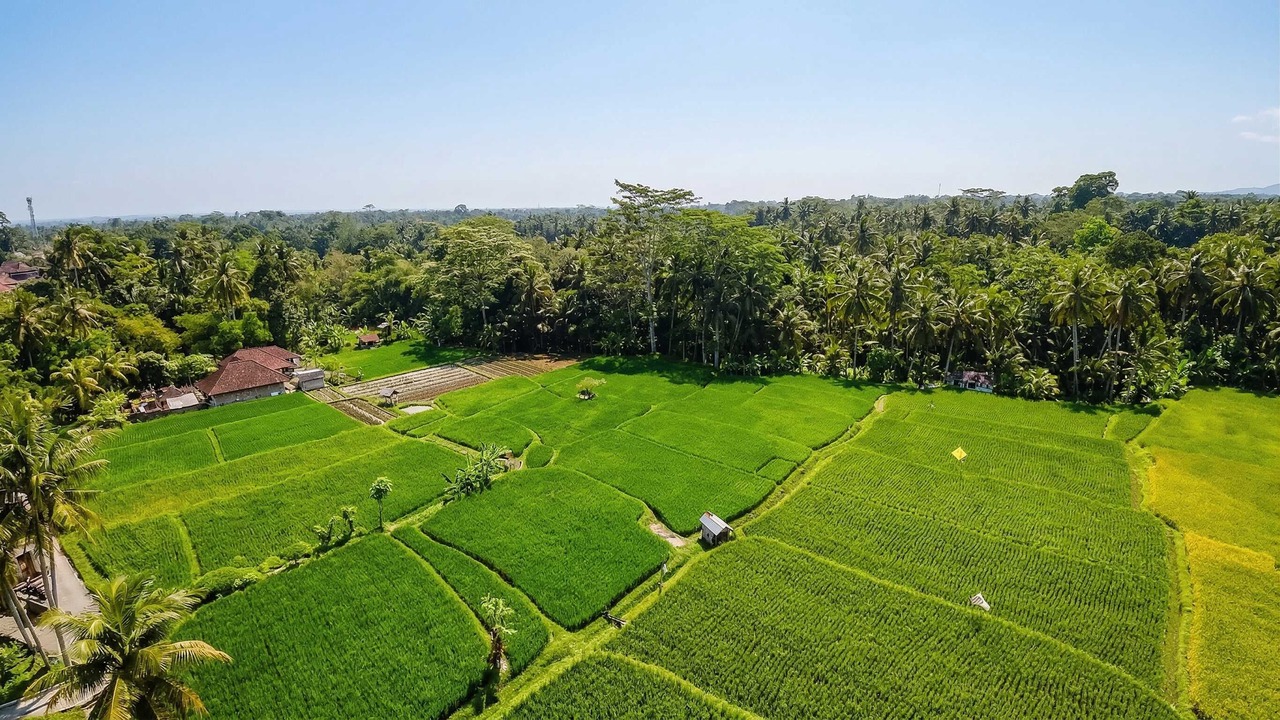 Photo of Outdoor in Melayang