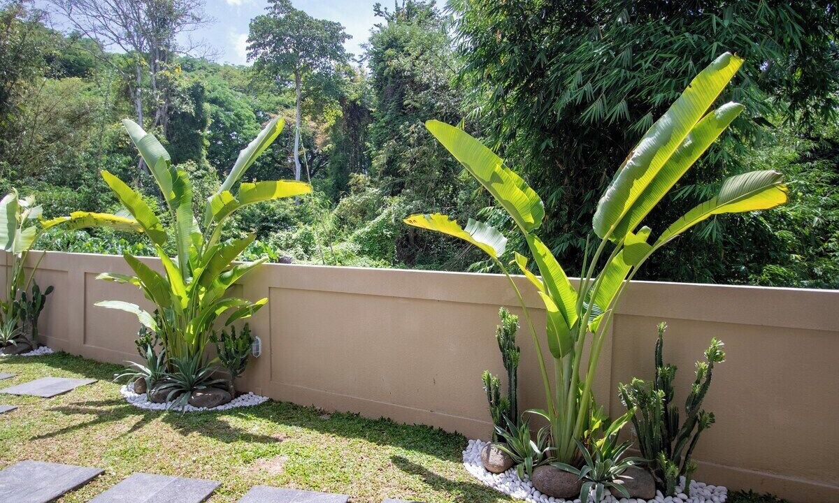 Photo of Outdoor in Banjar Semer
