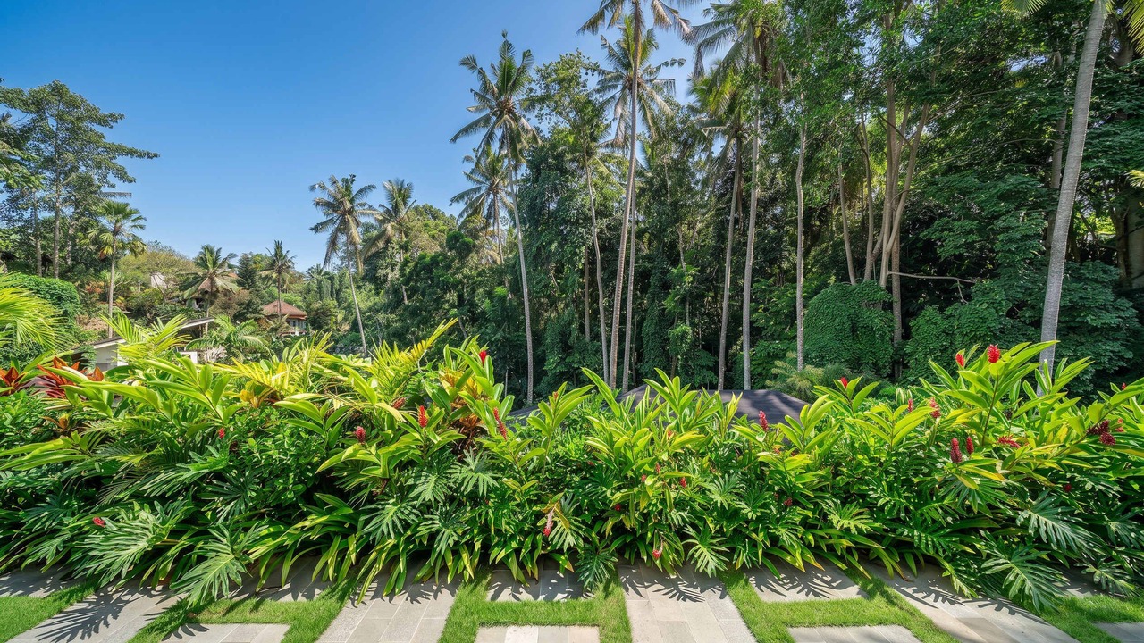 Photo of Outdoor in Petulu
