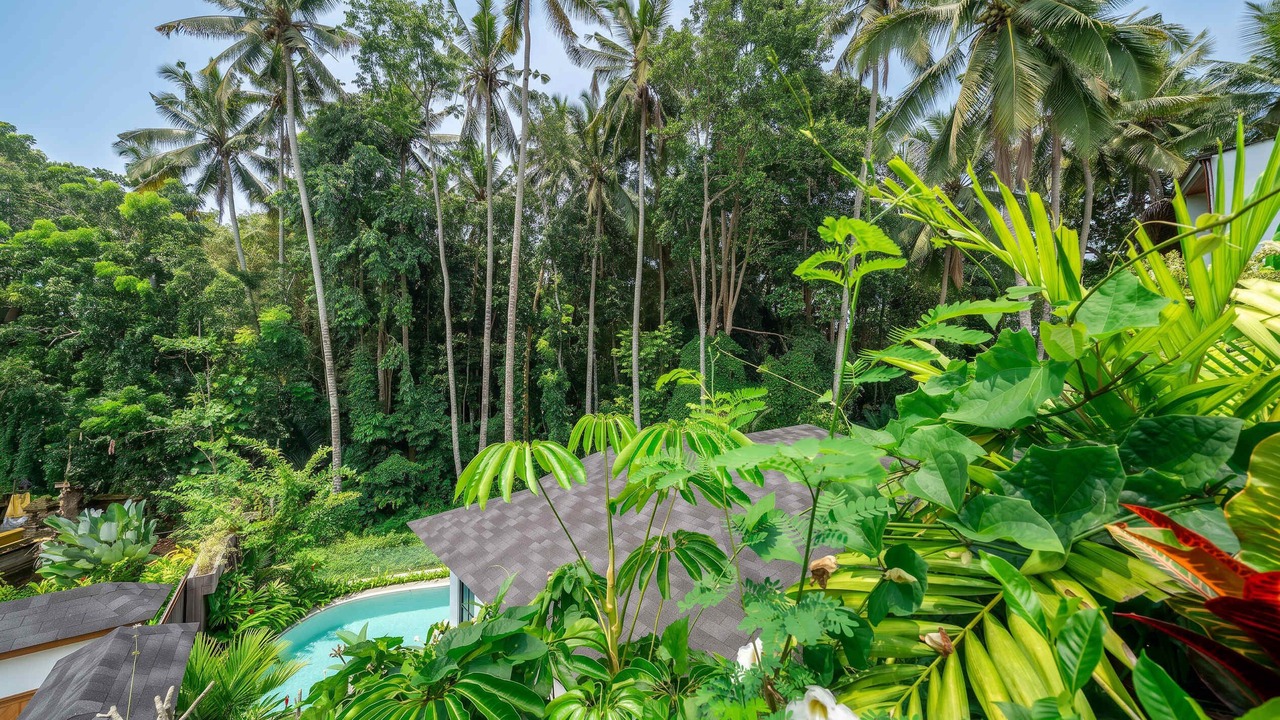Photo of Outdoor in Petulu