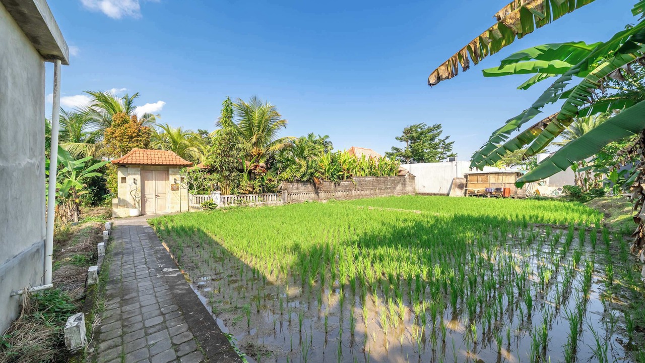 Photo of Outdoor in Ubud