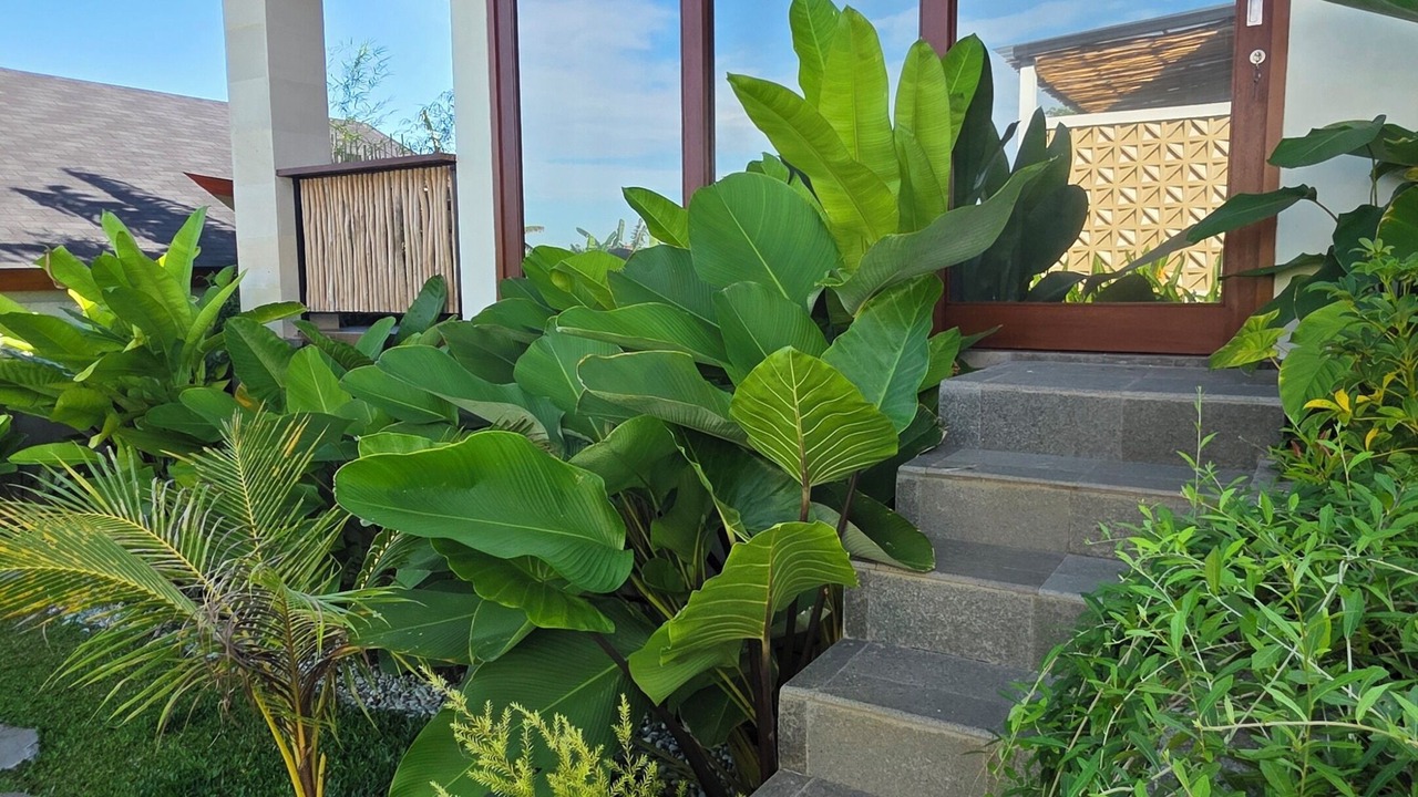 Photo of Outdoor in Batubulan