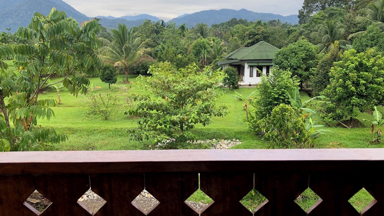 Photo of Outdoor in Bohorok