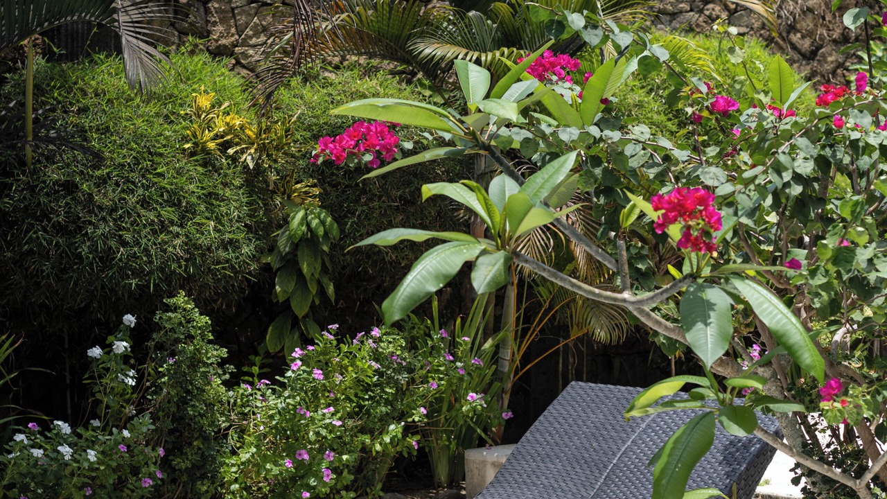 Photo of Outdoor in Suraberata