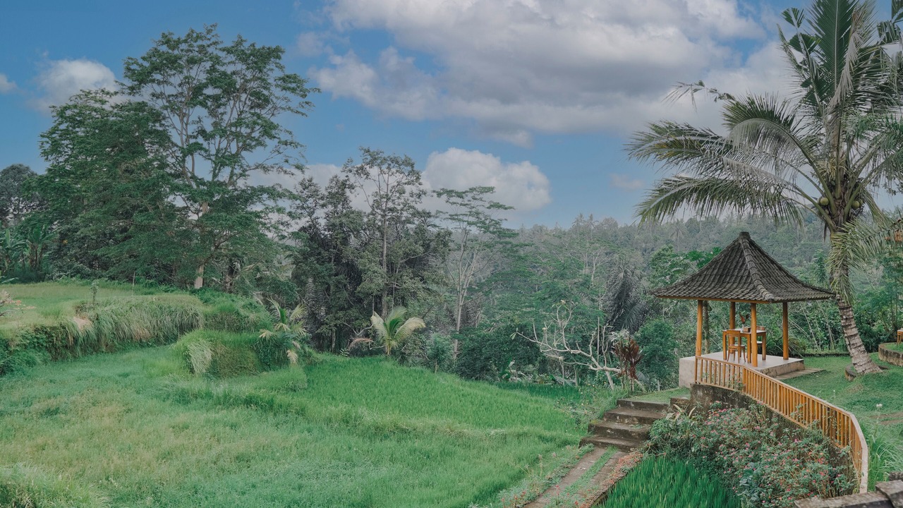 Photo of Outdoor in Taro