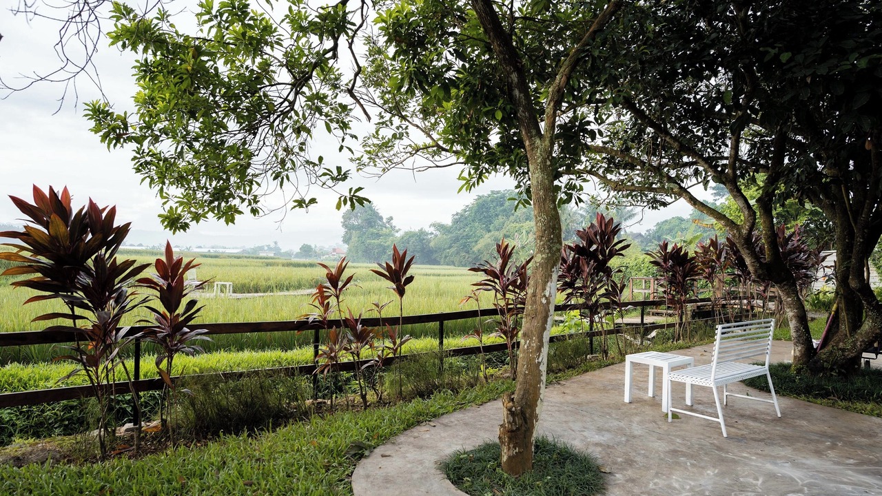 Photo of Outdoor in Cibodas