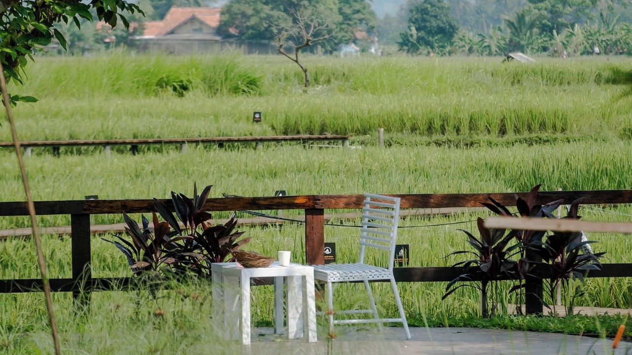 Photo of Outdoor in Cibodas