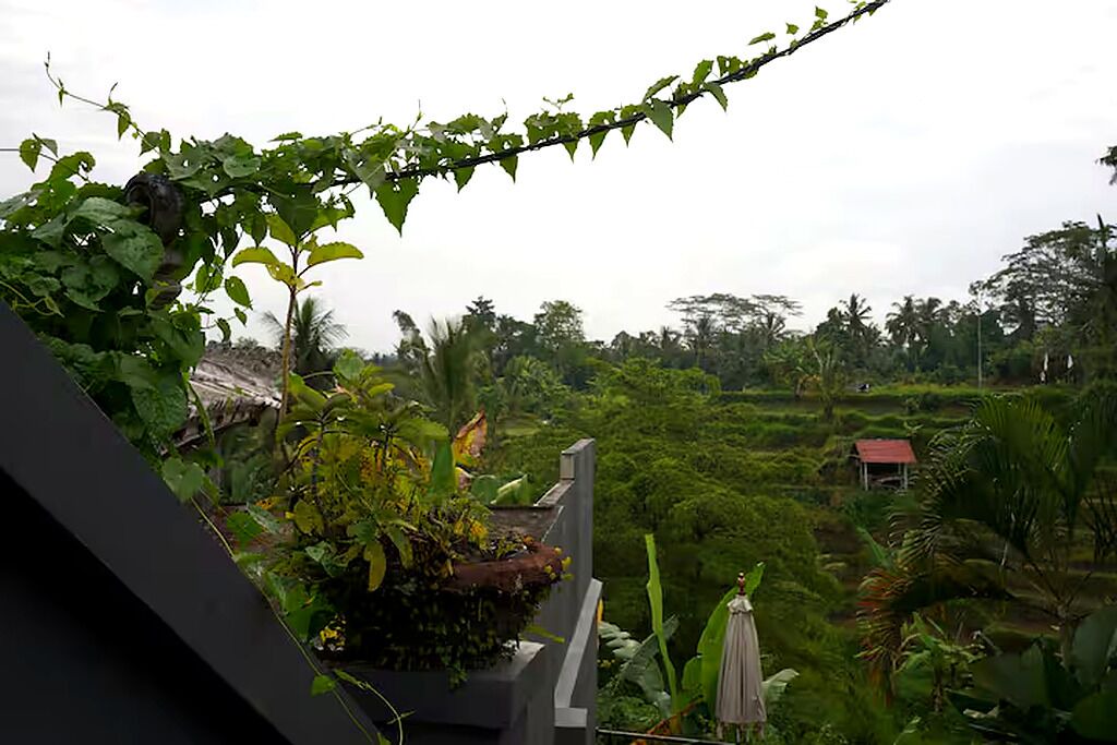 Photo of Outdoor in Melayang