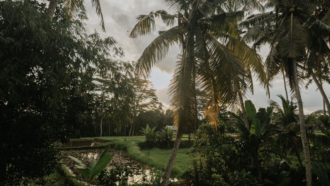 Photo of Outdoor in Mas