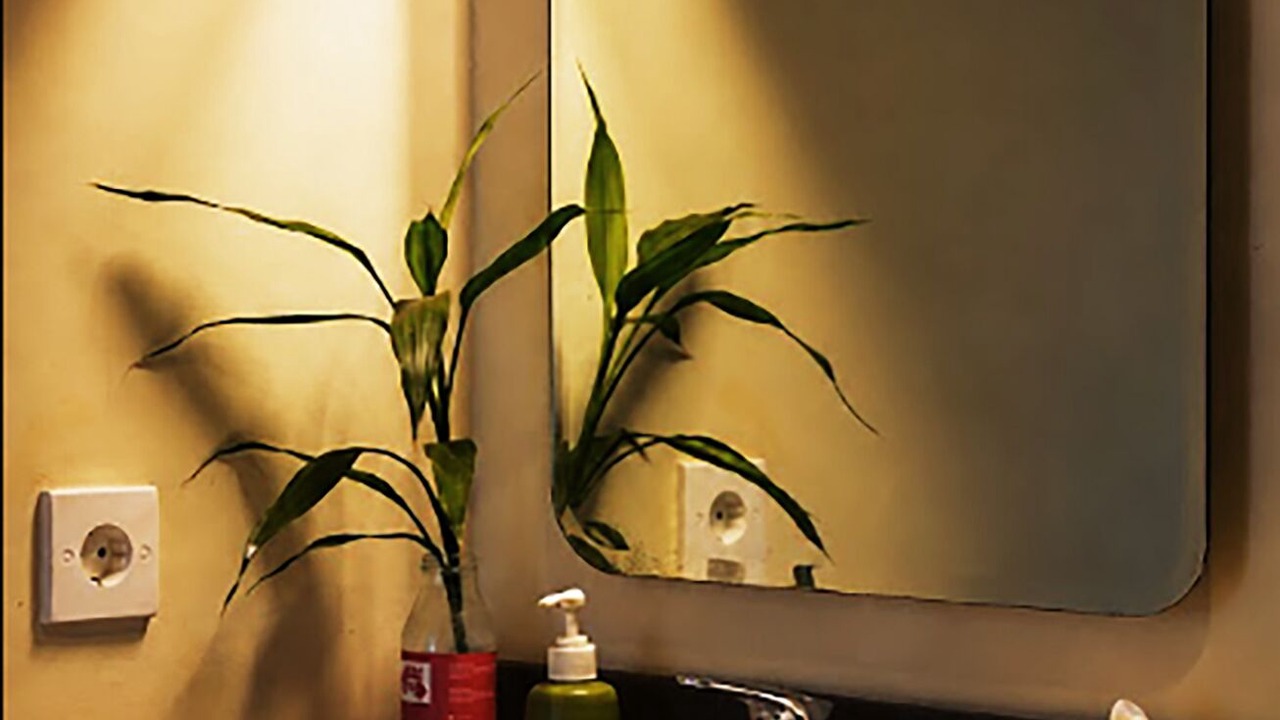 Photo of Bathroom in Ubud City-Centre