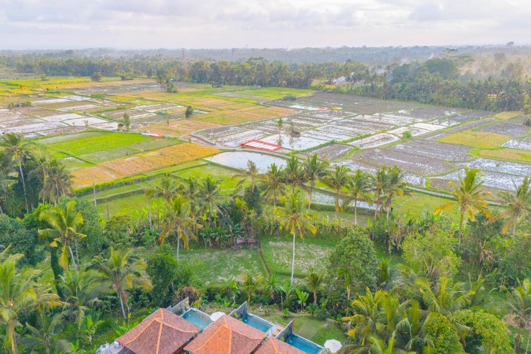 Photo of Others in Payangan