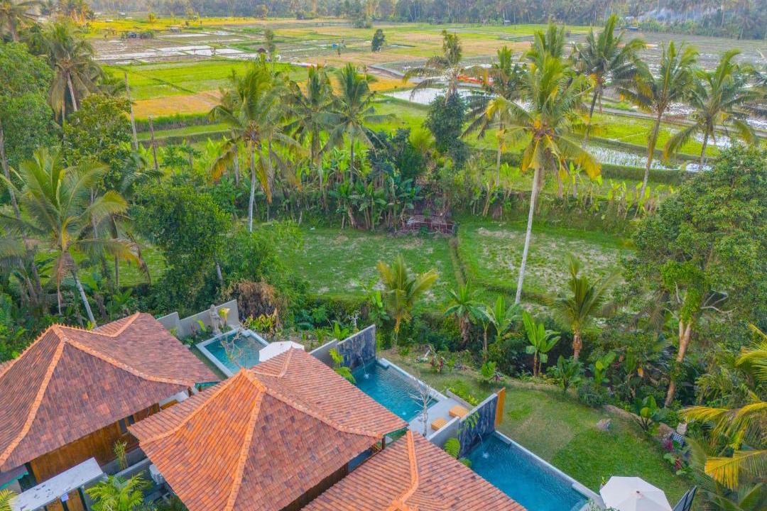 Photo of Others in Payangan