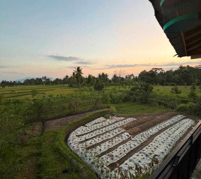 Photo of Others in Kecamatan Pringgarata