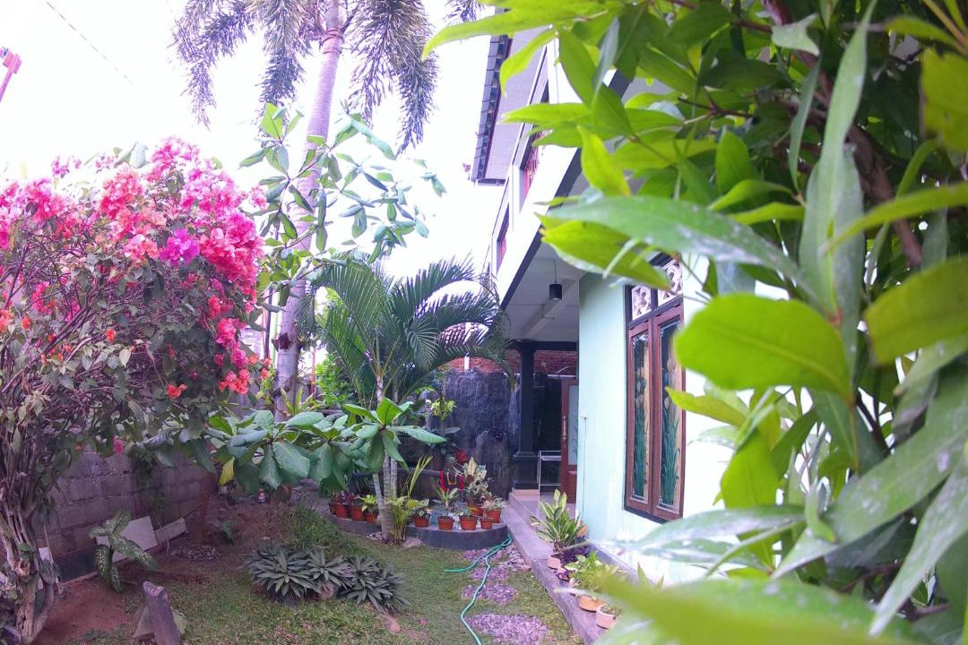 Photo of Others in Kalipuro