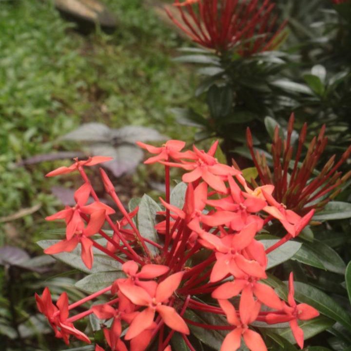 Photo of Outdoor in Purwakarta