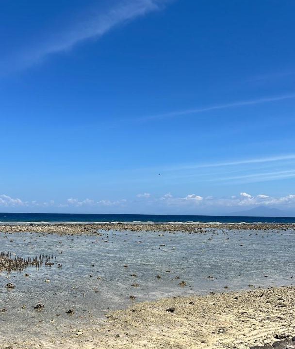Photo of Others in Gili Meno