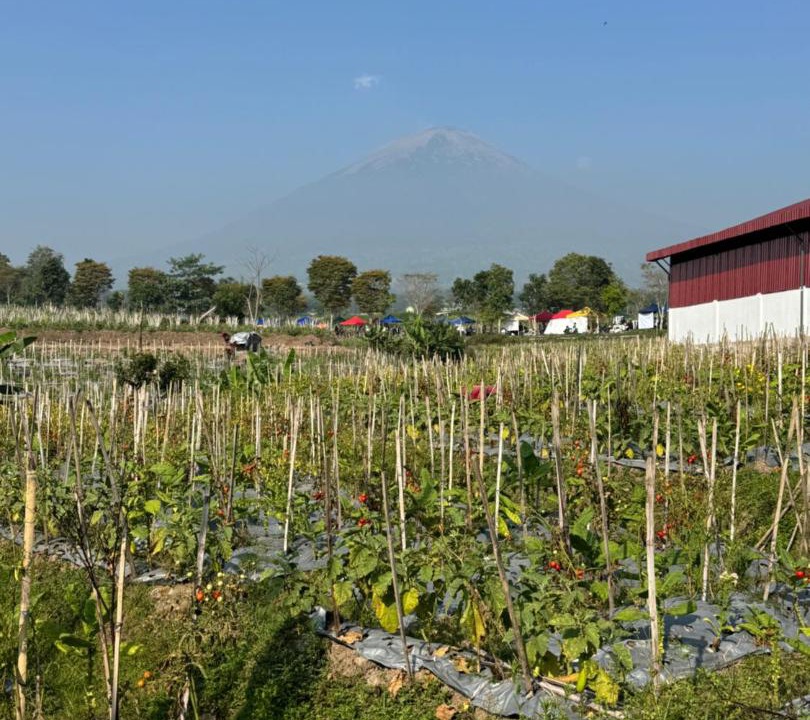 Photo of Others in Temanggung