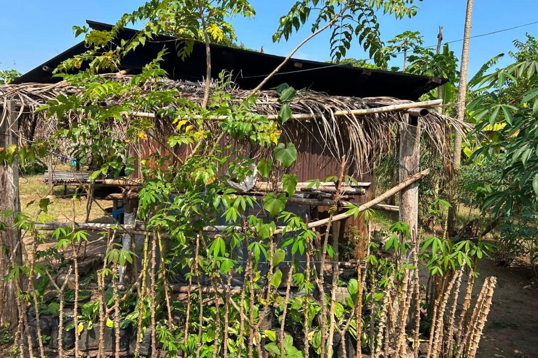 Photo of Others in Southwest Sumba