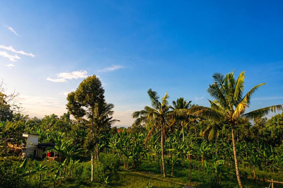 Photo of Others in Kecamatan Pringgasela